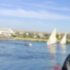 Profile photo of Mario